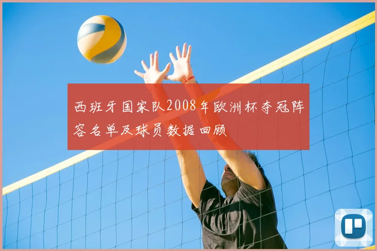 西班牙国家队2008年欧洲杯夺冠阵容名单及球员数据回顾