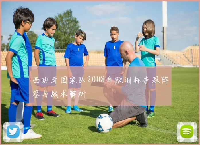 西班牙国家队2008年欧洲杯夺冠阵容与战术解析