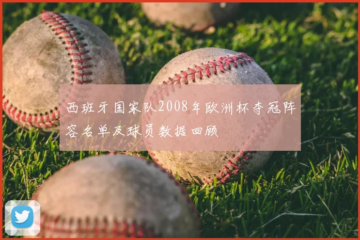 西班牙国家队2008年欧洲杯夺冠阵容名单及球员数据回顾