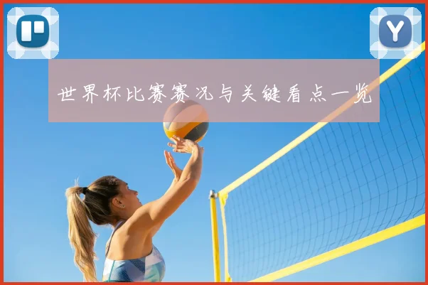 世界杯比赛赛况与关键看点一览