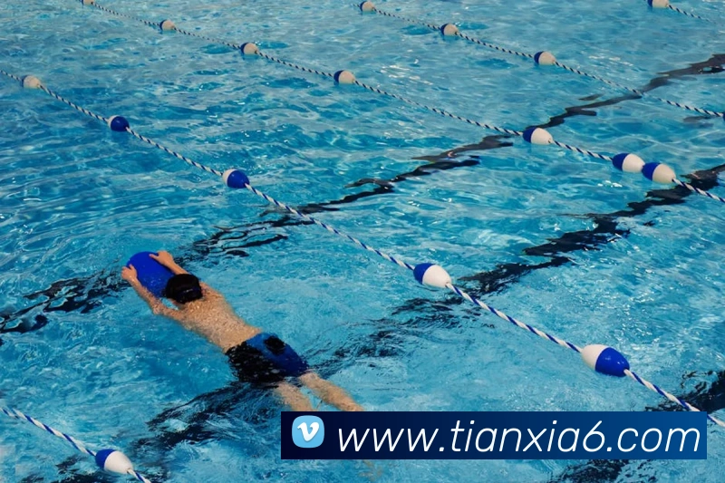 玩球直播nba手机版服务体系